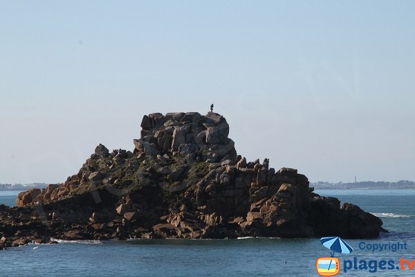 Rocher de la pointe d'Annalouesten à Plougasnou