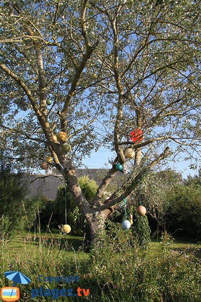 Arbre décoré à Tréogat