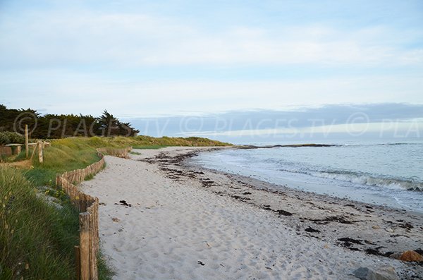 Environnement de la plage de Kercambre de St Gildas de Rhuys