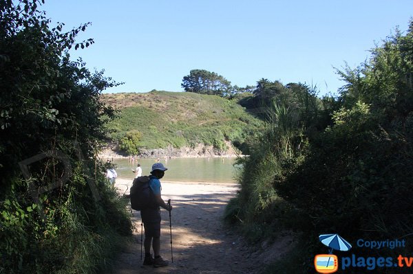 GR340 et plage de Kerel - Belle Ile en Mer