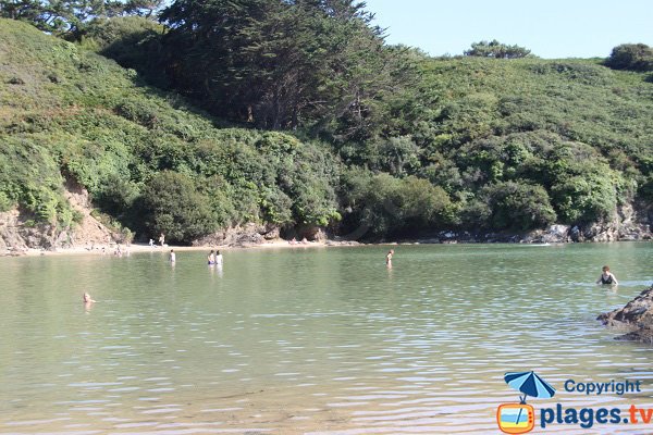 Plage avec eau chaude à Belle-Ile - Kerel