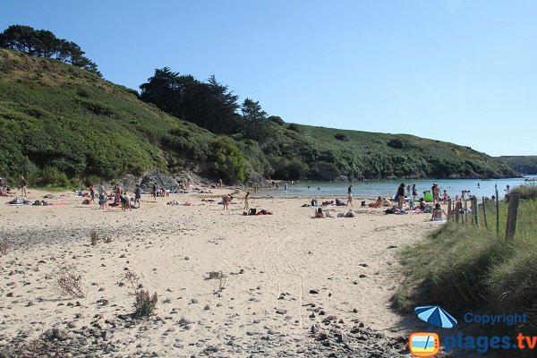 Dunes around Kerel beach - Belle Ile - France