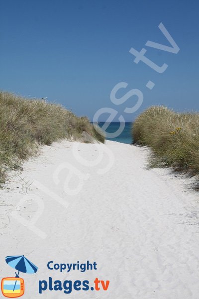 Accès à la plage de Keremma de Plounévez-Lochrist