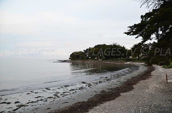 Photo de la plage de Kerfontaine à Sarzeau