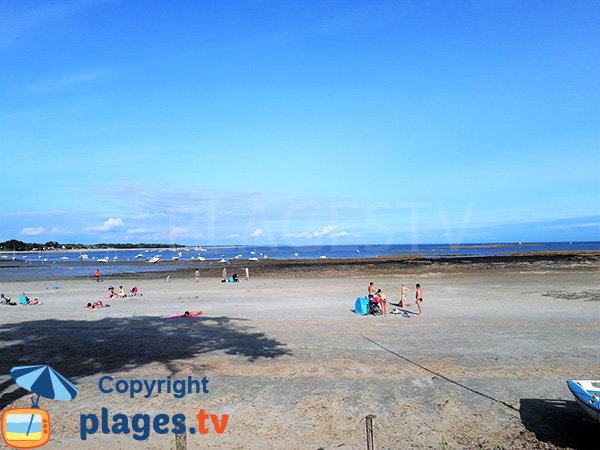 Environnement de la plage de Kerfontaine - Sarzeau