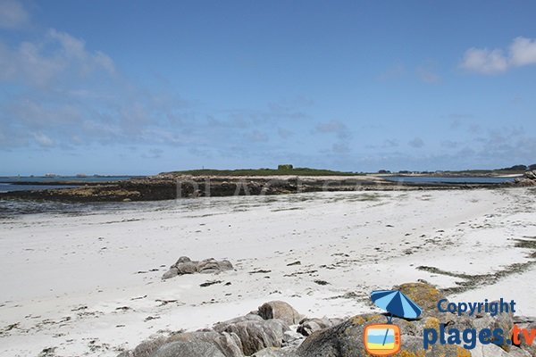 Plage de Kergoz avec vue sur l'ile Enez Vihan - Landéda