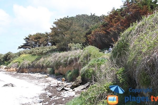 Rebord de la plage de Kergoz - Landéda