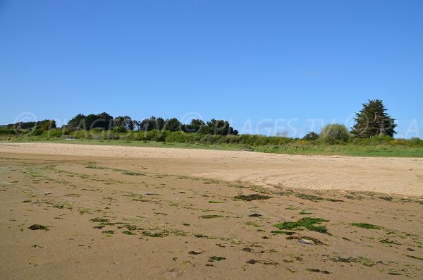 Plage dans la baie de Kerlavos à Trégastel