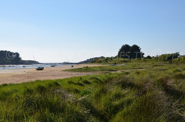 environment of Kerlavos beach in Trégastel