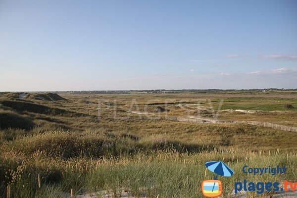 Espace dunaire de la plage de Kermabec à Tréguennec - Bretagne