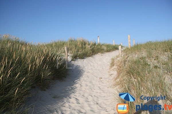 Sentier d'accès à la plage de Kermabec à Tréguennec