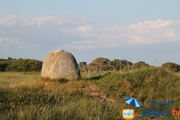 Menhirs autour de la plage de Kermabec à Tréguennec