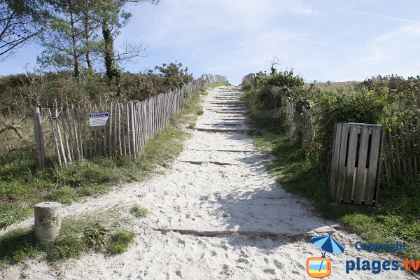 Chemin d'accès à travers la dune - Plage de Kermor - Combrit