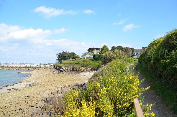 Rochers près du port Haliguen à Quiberon