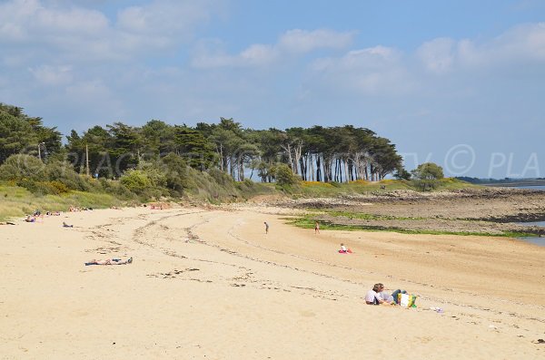 Photo de la plage de Kernevest - Saint-Philibert 56