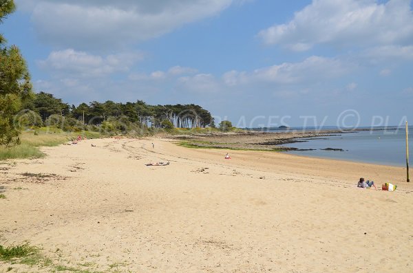 Plage de Kernevest à Saint Philibert - Bretagne