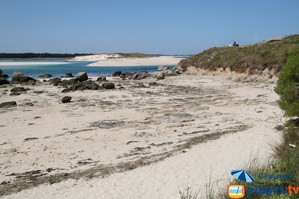 Laisse de mer sur la plage de Kernic - Finistère