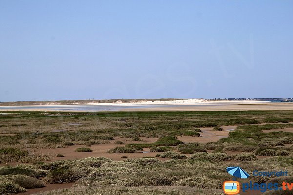 Marais dans la baie de Kernic