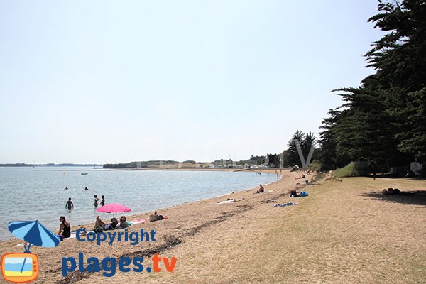 Plage de Keroland à Arz - golfe du Morbihan