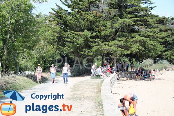 Promenade le long de la plage de Keroland - ile d'Arz