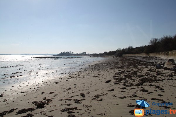 Plage de Kersaliou à marée basse - St Pol de Léon