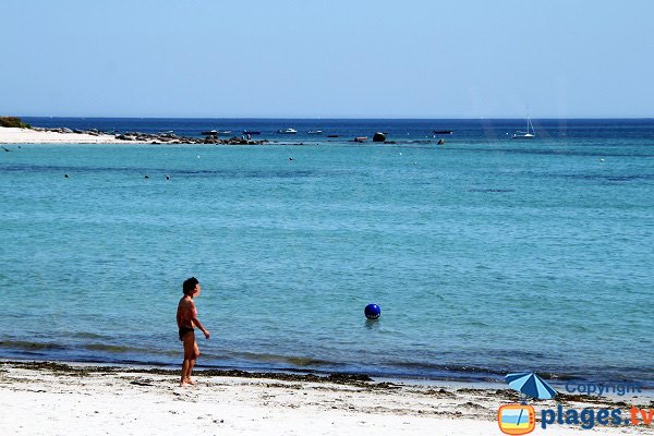 Plage de sable à Plounéour-Trez à proximité de Brignogan-Plage