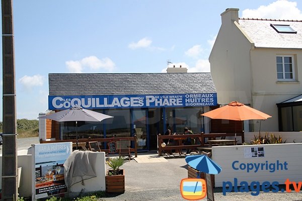 Manger des coquillages en bord de mer à Plouguerneau