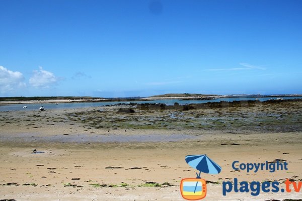 Plage de Kervenni à marée basse - Plouguerneau