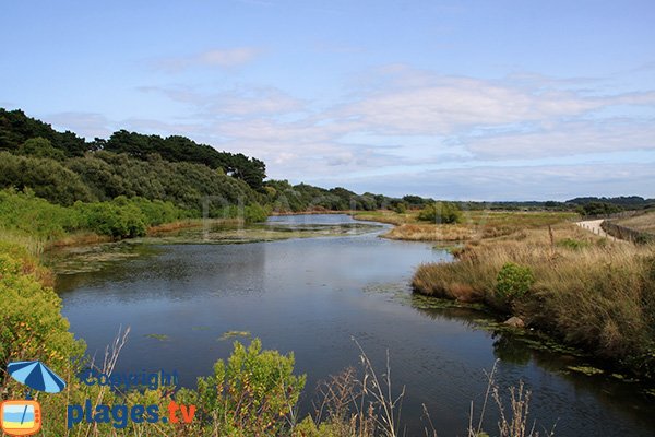 Marais de la plage de Kerner en Bretagne - Arzon - St Gildas