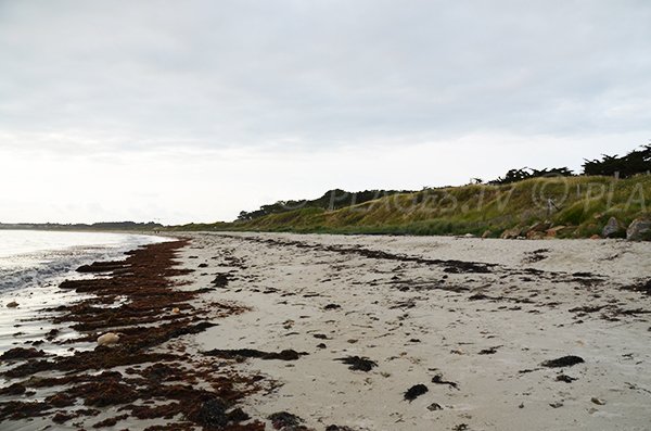 St Gildas de Rhuys - Plage de Kerver