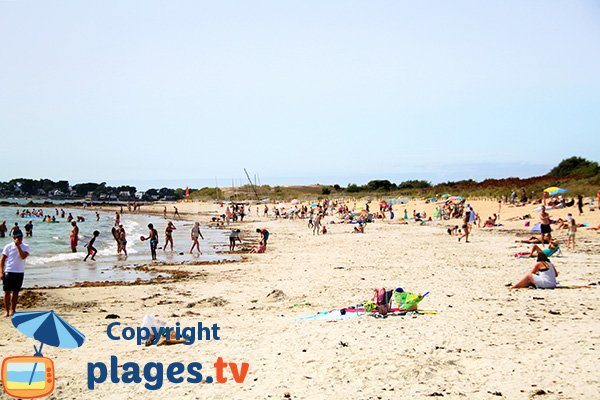 Baignade sur la plage de Kervillen - La Trinité sur Mer