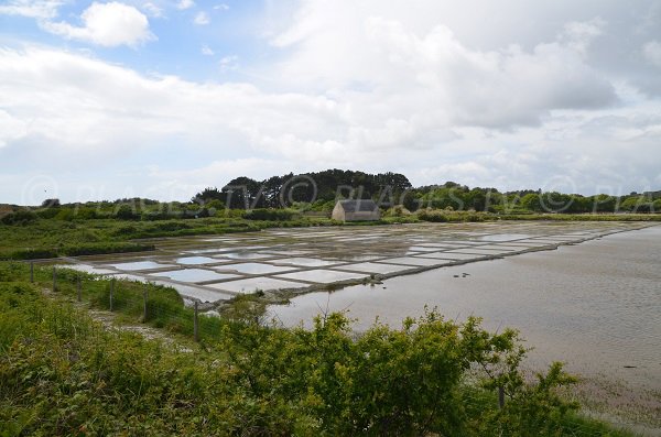 Marais Salants of Kervillen - La Trinité sur Mer