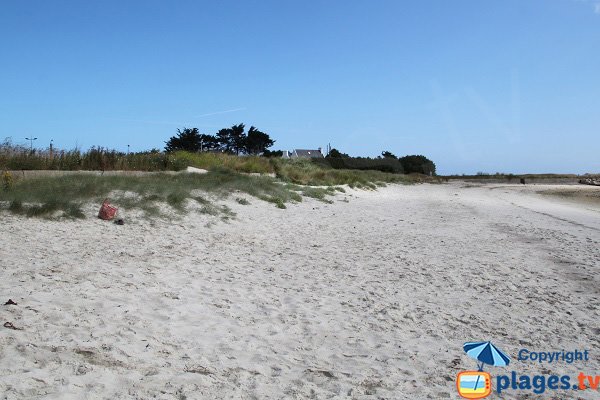 Dune de la plage du Korejou -  Plouguerneau