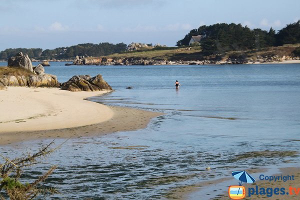 Baignade dans l'estuaire de Tresseny