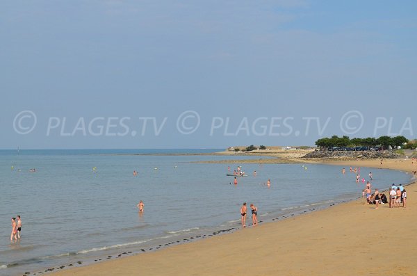 Plage au nord de l'ile de Ré