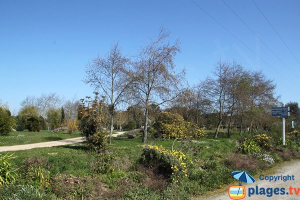 Animal garden in Roscoff