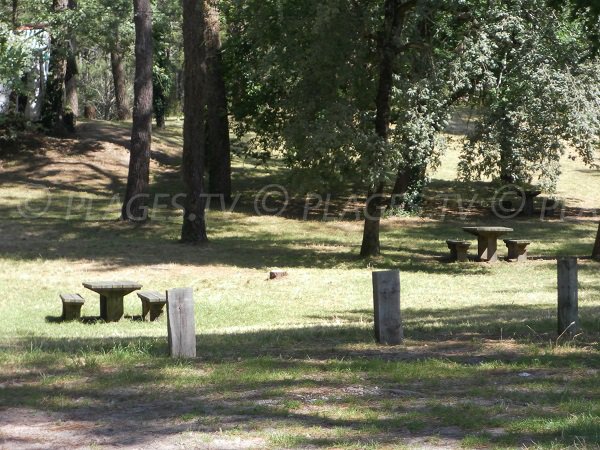 Tables de pique-nique au bord du lac de Cazaux