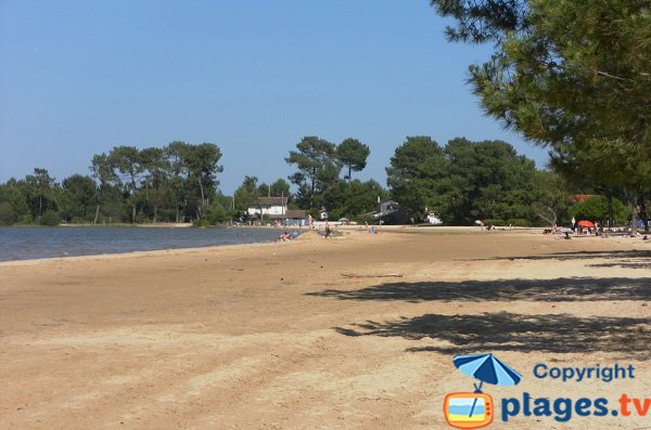 Plage au bord du lac de Biscarrosse - Navarrosse