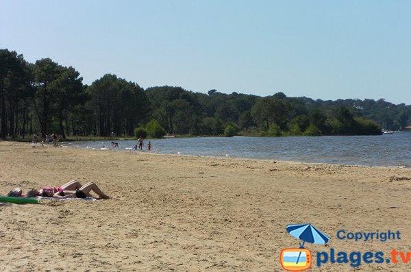 Plage surveillée au bord du lac de Biscarrosse - Navarrosse