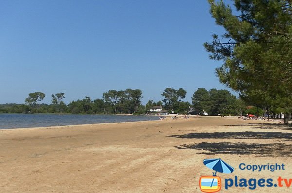 Photo de la plage du Lac de Navarrosse à Biscarrosse-Lac