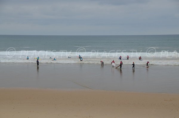 Surfers in Lacanau