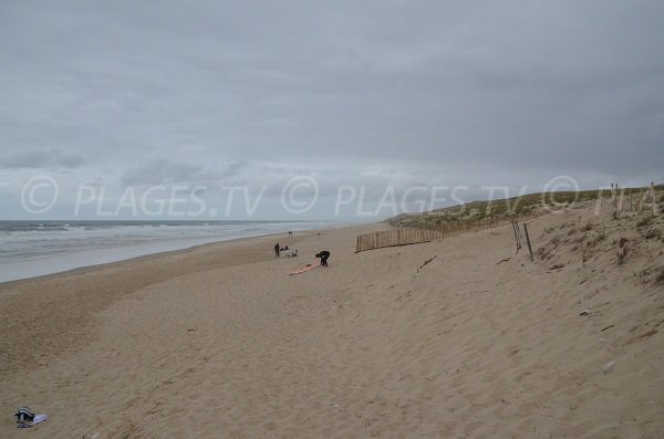 Wild beach in North of Lacanau