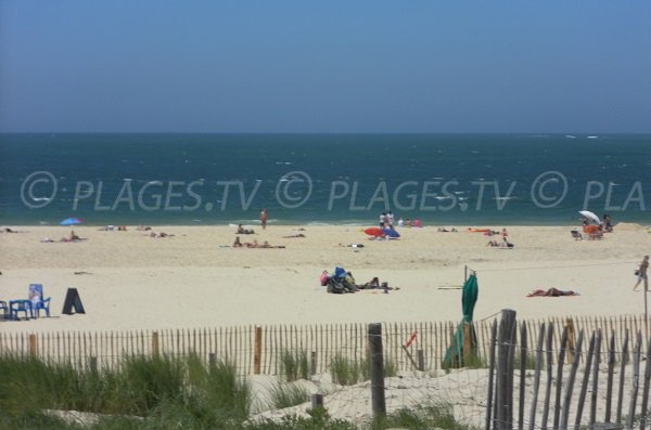 Wild beach in Pyla sur Mer - La Lagune