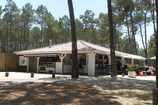 Snack dans la forêt de la Teste - Aire d'Accueil de la La Lagune