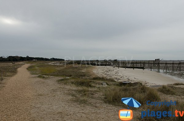 Photo de la plage de Lancastria - Les Moutiers-en-Retz