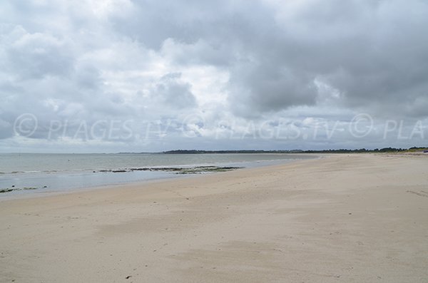 Plage sauvage à Sarzeau