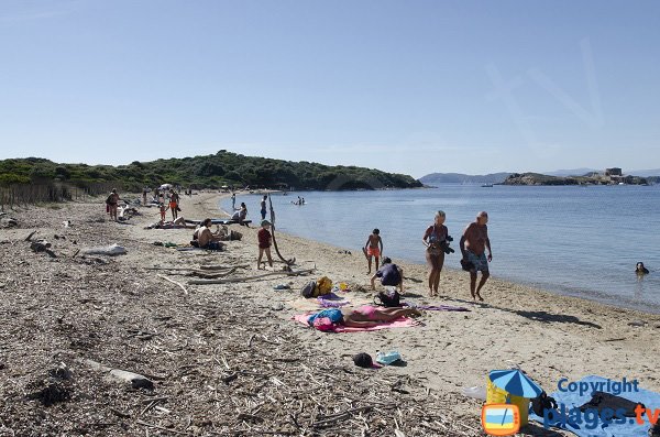 Plage de sable à l'ouest de l'île de Porquerolles