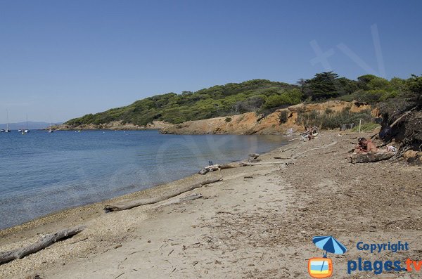 Plage du Langoustier à Porquerolles