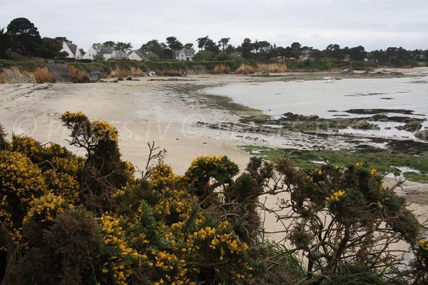 Lannguy beach in the bay of Cabonnais - Mesquer