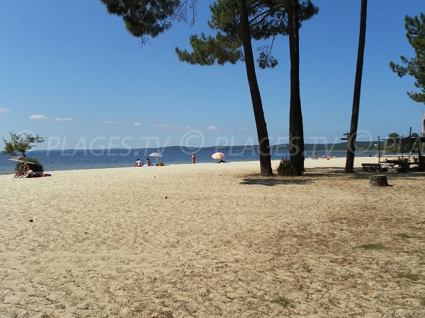 Plage de Laouga au lac de Cazaux (Gironde)